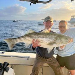 312926710 535722748565034 n