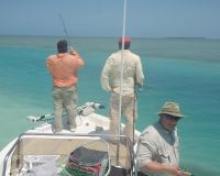 barnegat light fishing 110 20200411