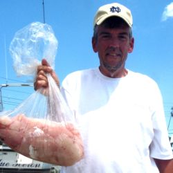 barnegat light fishing 115 20200411