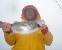 barnegat light fishing 116 20200411