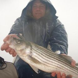 barnegat light fishing 117 20200411