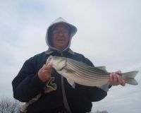 barnegat light fishing 123 20200411