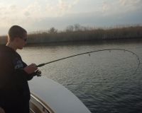 barnegat light fishing 126 20200411