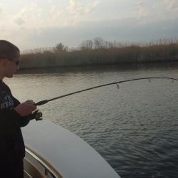 barnegat light fishing 126 20200411