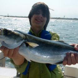 barnegat light fishing 132 20200411