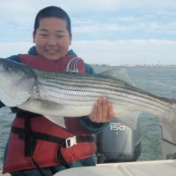 barnegat light fishing 135 20200411