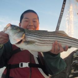 barnegat light fishing 138 20200411