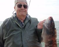 barnegat light fishing 149 20200411