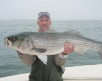 barnegat light fishing 154 20200411