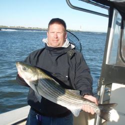 barnegat light fishing 155 20200411