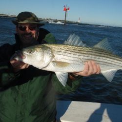 barnegat light fishing 158 20200411