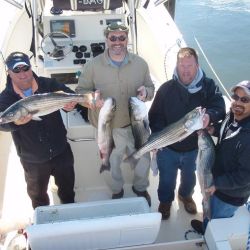 barnegat light fishing 159 20200411