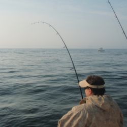 barnegat light fishing 16 20200411