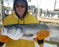 barnegat light fishing 161 20200411