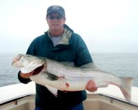 barnegat light fishing 164 20200411