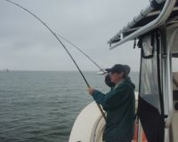 barnegat light fishing 168 20200411