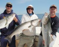 barnegat light fishing 17 20200411