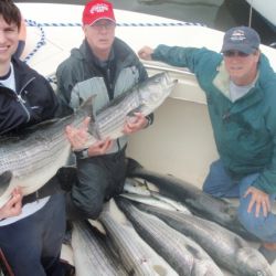 barnegat light fishing 170 20200411