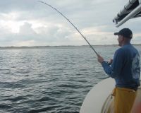 barnegat light fishing 176 20200411