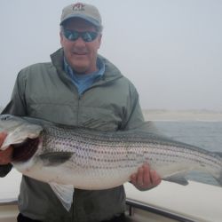 barnegat light fishing 180 20200411