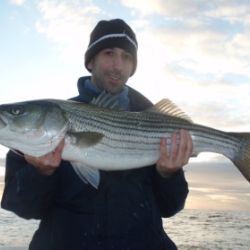 barnegat light fishing 183 20200411