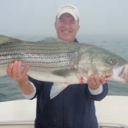 barnegat light fishing 188 20200411