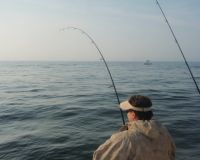 barnegat light fishing 19 20200411