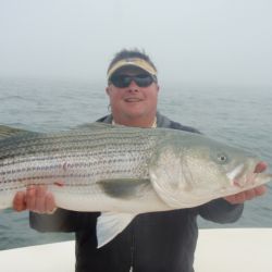 barnegat light fishing 196 20200411