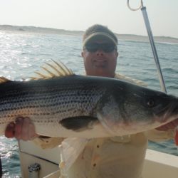 barnegat light fishing 2 20200411