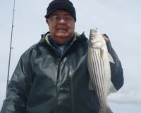 barnegat light fishing 2 20200411