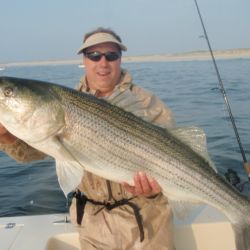 barnegat light fishing 20 20200411