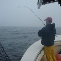 barnegat light fishing 200 20200411