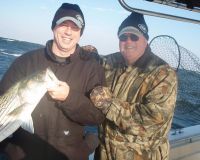 barnegat light fishing 206 20200411