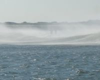 barnegat light fishing 207 20200411