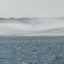 barnegat light fishing 207 20200411