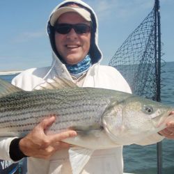 barnegat light fishing 23 20200411