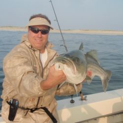 barnegat light fishing 25 20200411