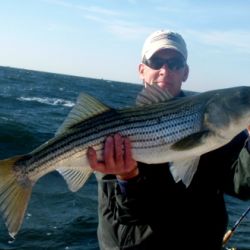 barnegat light fishing 3 20200411