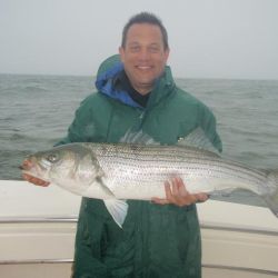 barnegat light fishing 35 20200411