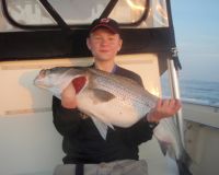 barnegat light fishing 37 20200411