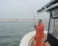 barnegat light fishing 40 20200411