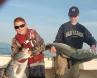 barnegat light fishing 41 20200411