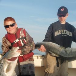 barnegat light fishing 41 20200411