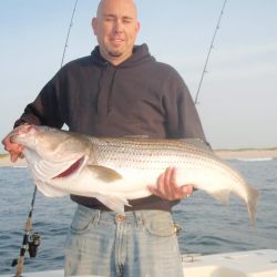 barnegat light fishing 50 20200411