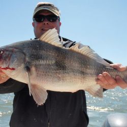 barnegat light fishing 52 20200411