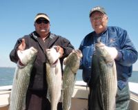 barnegat light fishing 54 20200411