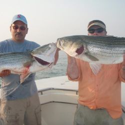 barnegat light fishing 58 20200411