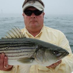 barnegat light fishing 6 20200411