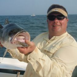 barnegat light fishing 6 20200411