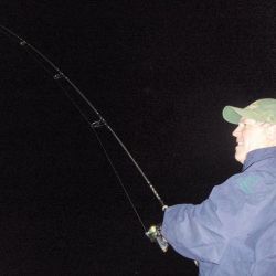 barnegat light fishing 64 20200411
